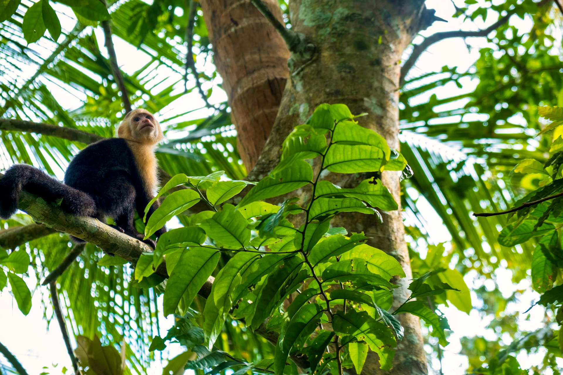 Costa Rica: A Sporting Paradise for Athletes